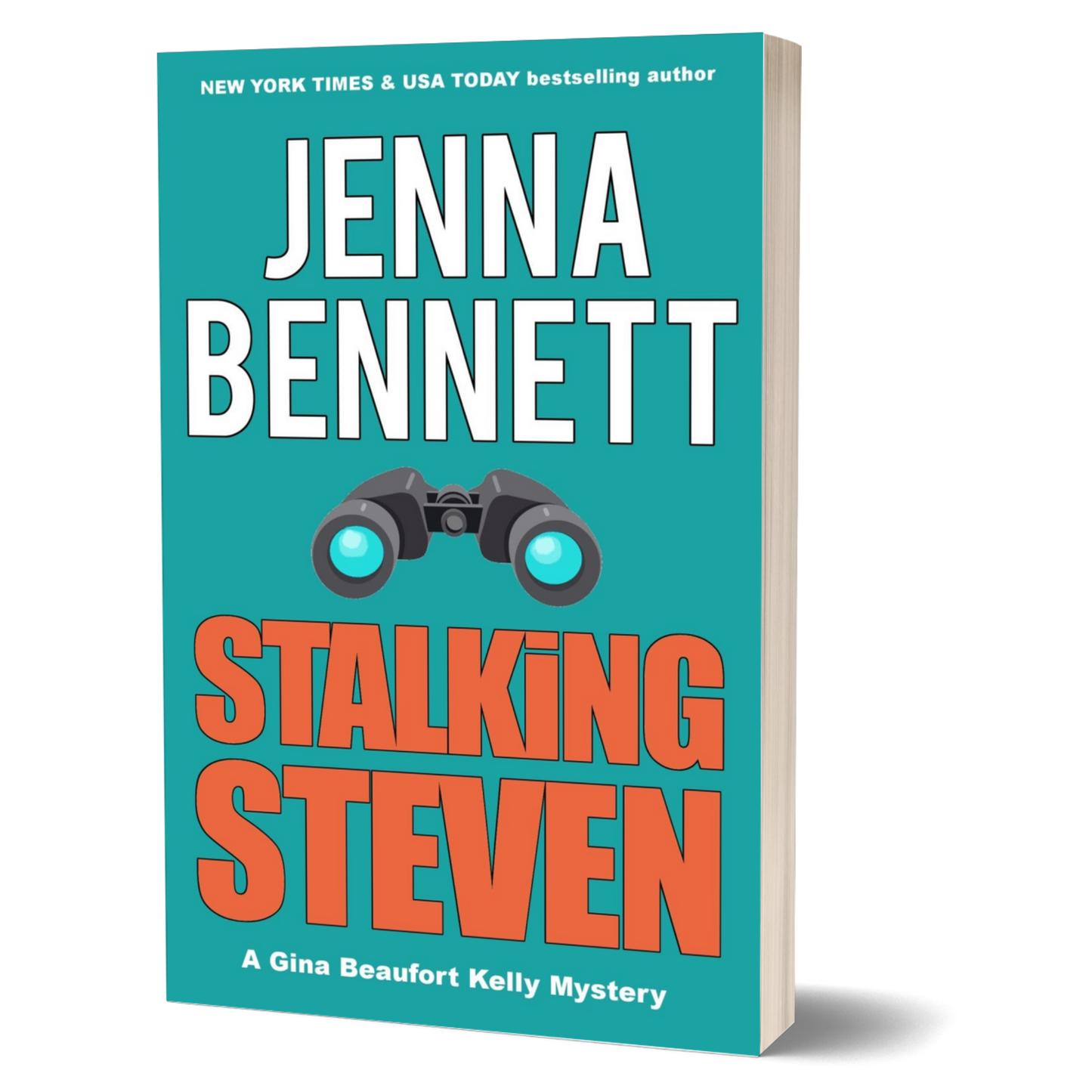 Stalking Steven paperback - Fidelity Investigations #2