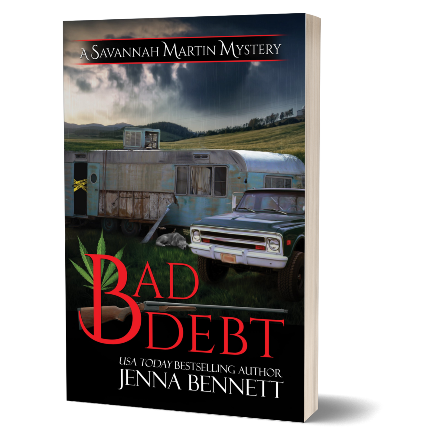 Bad Debt paperback - Savannah Martin Mysteries #14